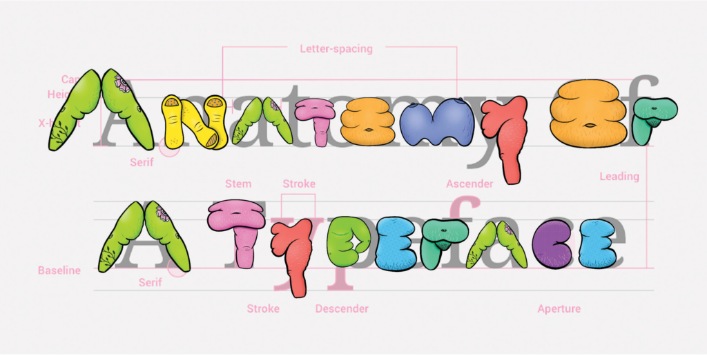 Overlay of colorful, illustrated fat letterforms on top of an image reading "Anatomy of a Typeface" that is meant to demonstrate how the fat letterforms could reimagine how we teach typographic anatomy. 